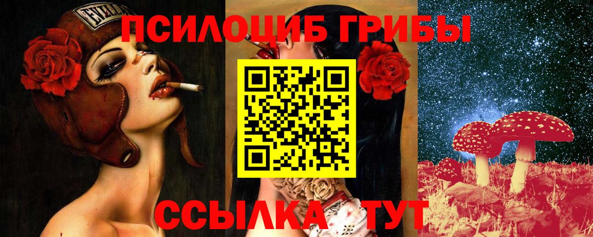 Псилоцибиновые грибы GOLDEN TEACHER Кашира