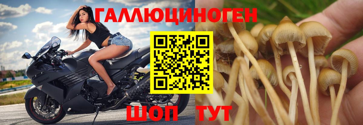 Псилоцибиновые грибы ЛСД  Псилоцибиновые грибы Psilocybine cubensis  Кашира  Вход с VPN 